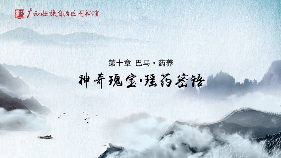 神奇瑰宝 祖传瑶药