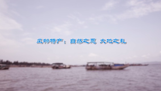 风物特产：自然之恩，大地之礼