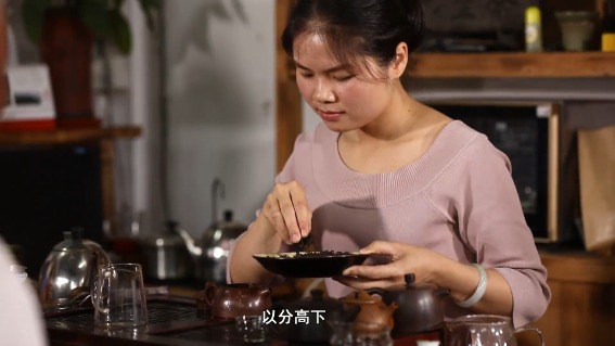 苍梧六堡茶制作
