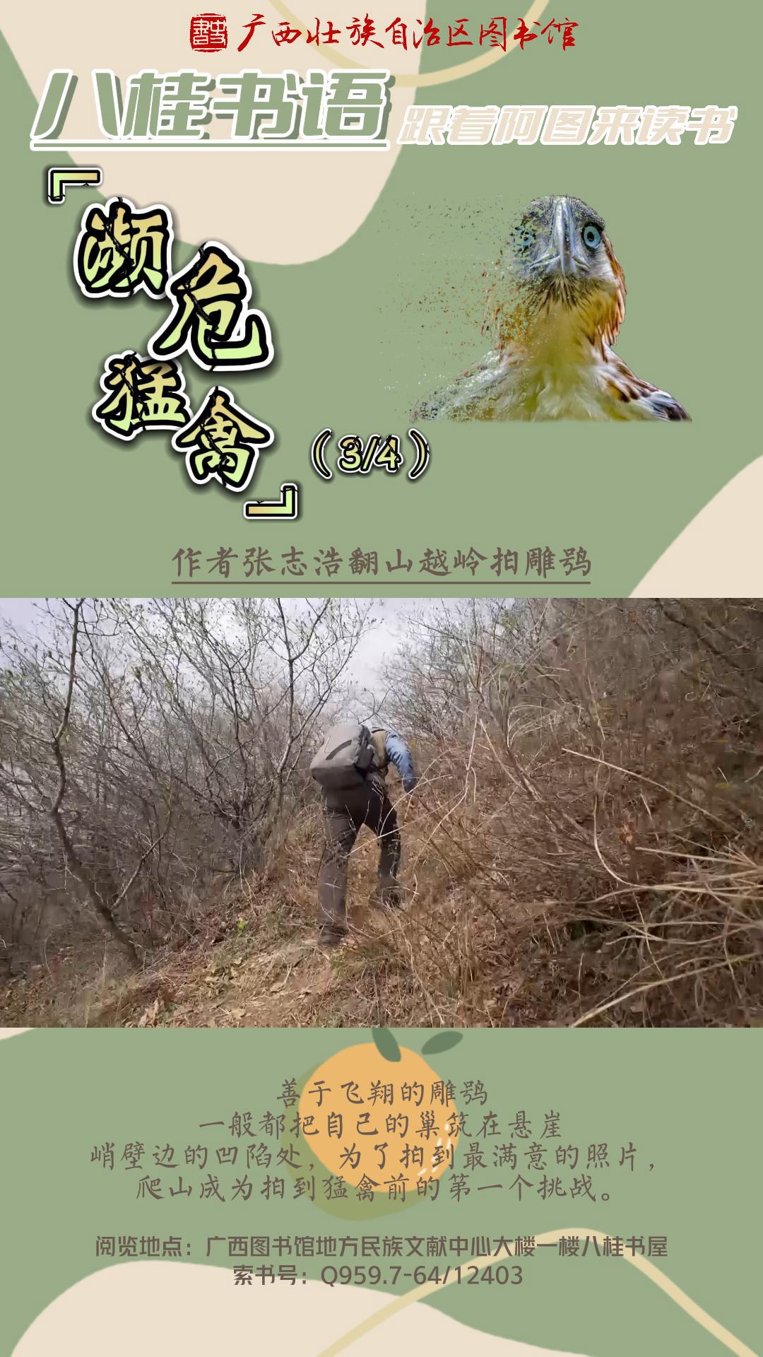 《濒危猛禽》（第3集）作者：张志浩