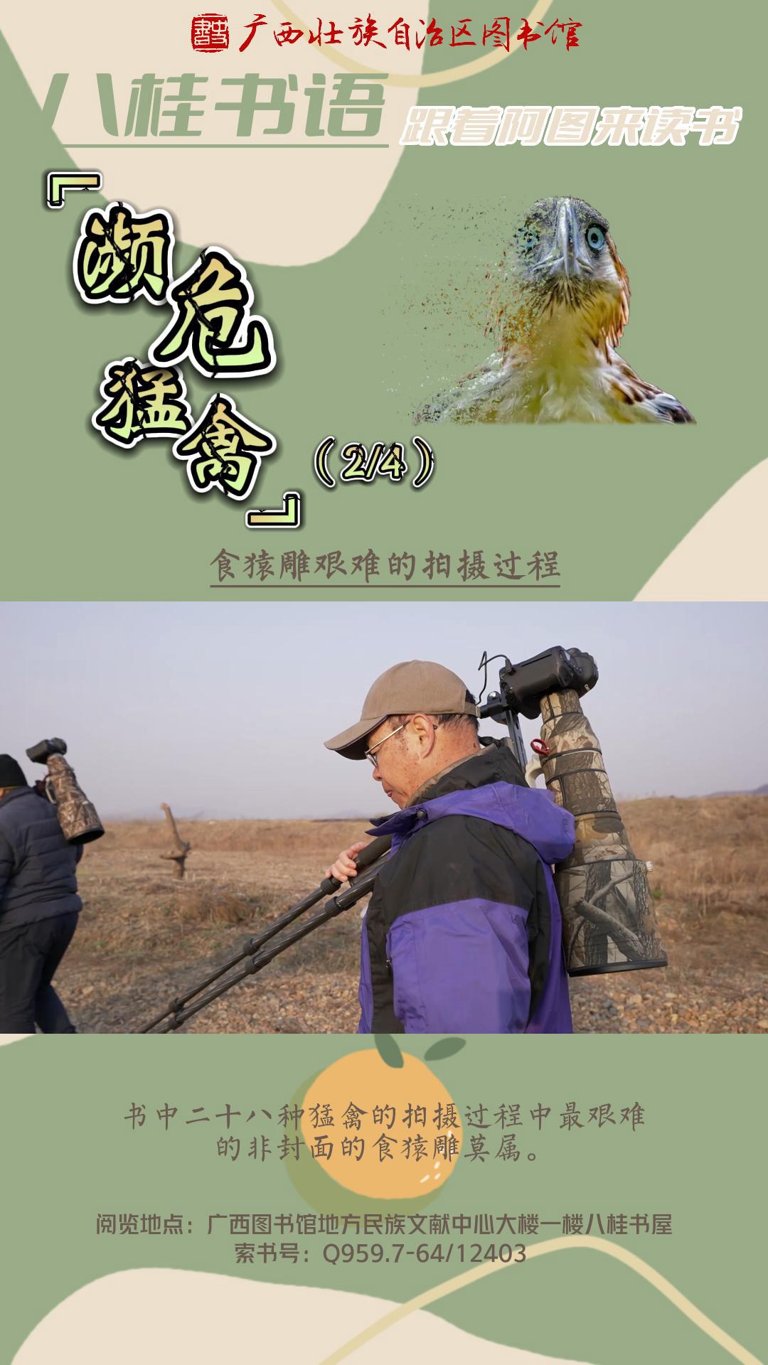 《濒危猛禽》（第2集）作者：张志浩