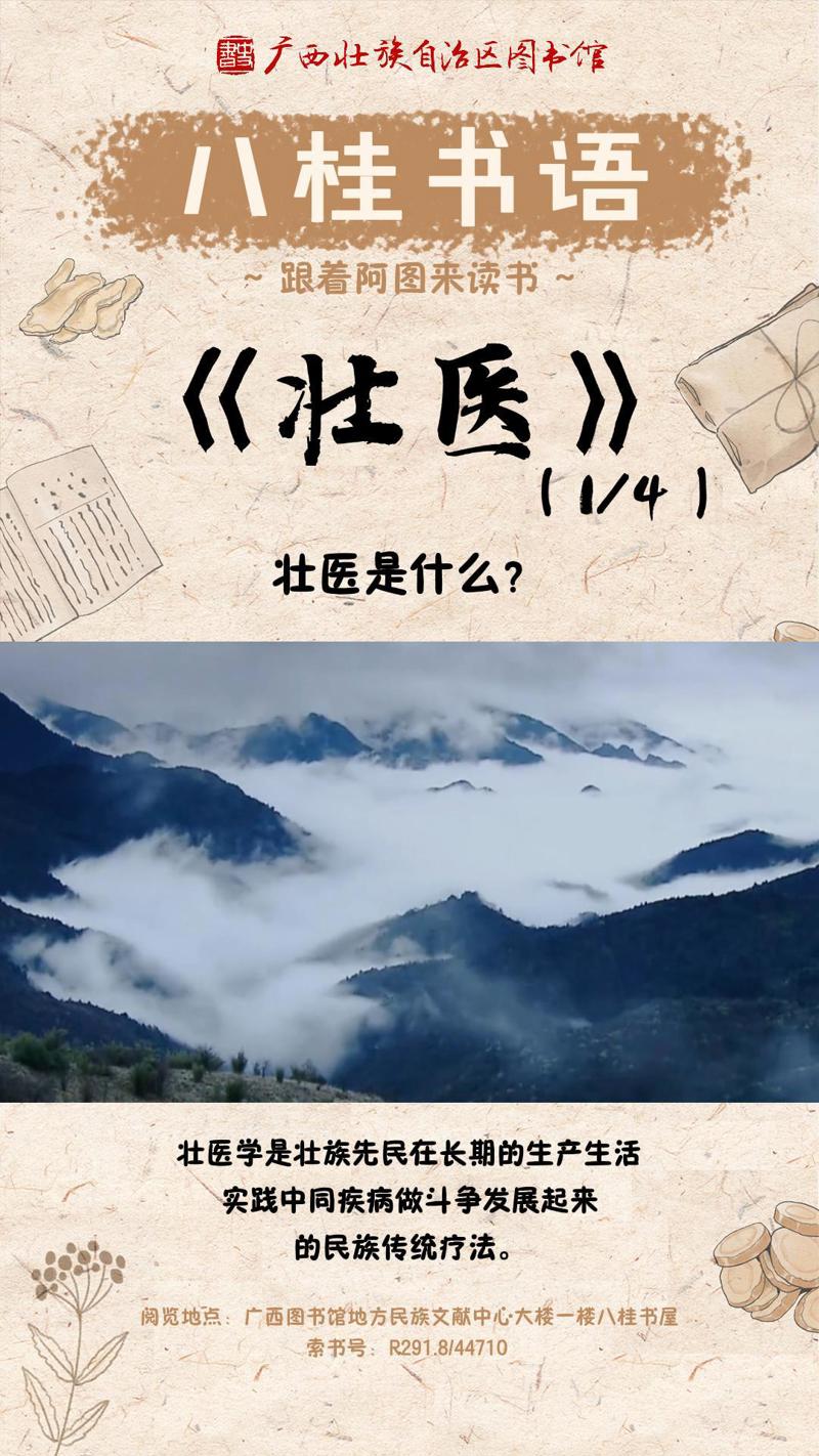 《壮医》系列丛书（第1集）