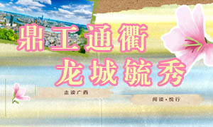 “走读广西——阅读·悦行”| 第四站：鼎工通衢 龙城毓秀