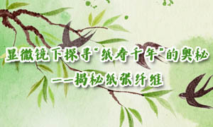 承典焕薪 | 显微镜下探寻“纸寿千年”的奥秘——揭秘纸张纤维