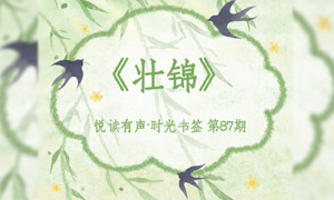 文末福利 ·时光书签|《壮锦》