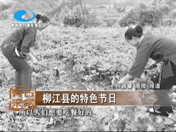 柳江的特色节日(壮族)