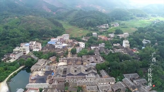 千年古樟 围屋传世——老屋村