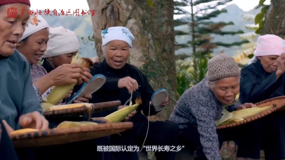 河池巴马