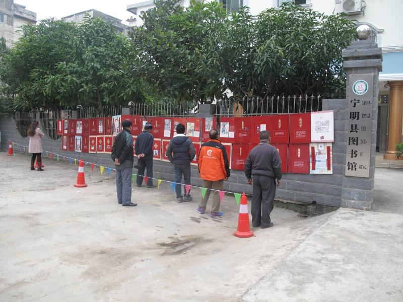 宁明县图书馆春节主题活动图片