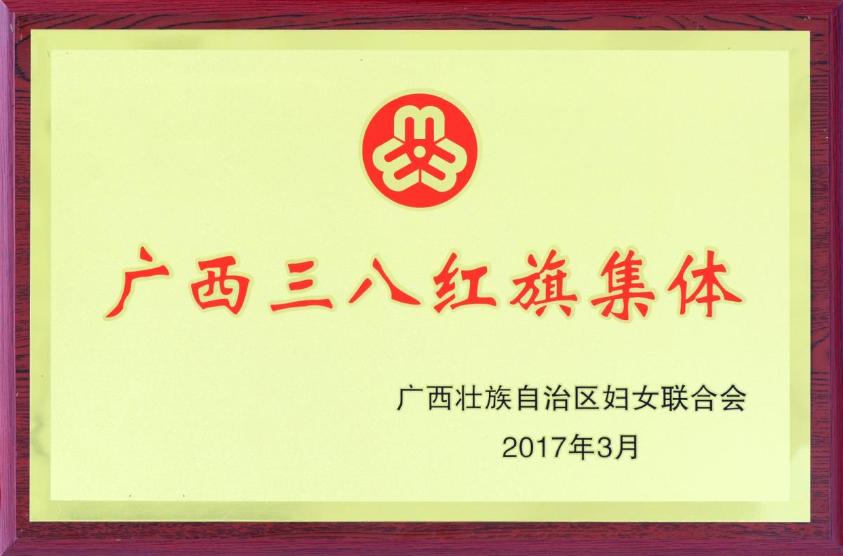 广西壮族自治区图书馆喜获2016年度“广西三八红旗集体”荣誉称号