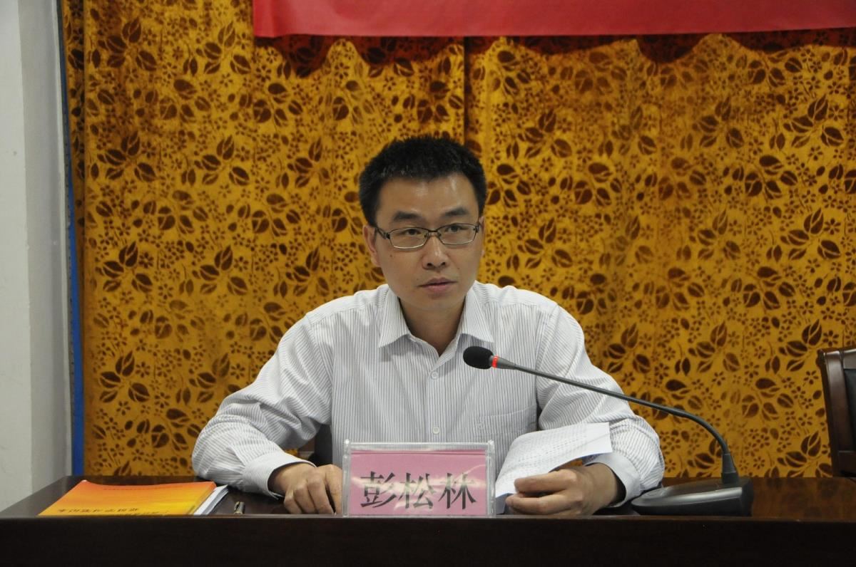 彭松林副馆长作报告
