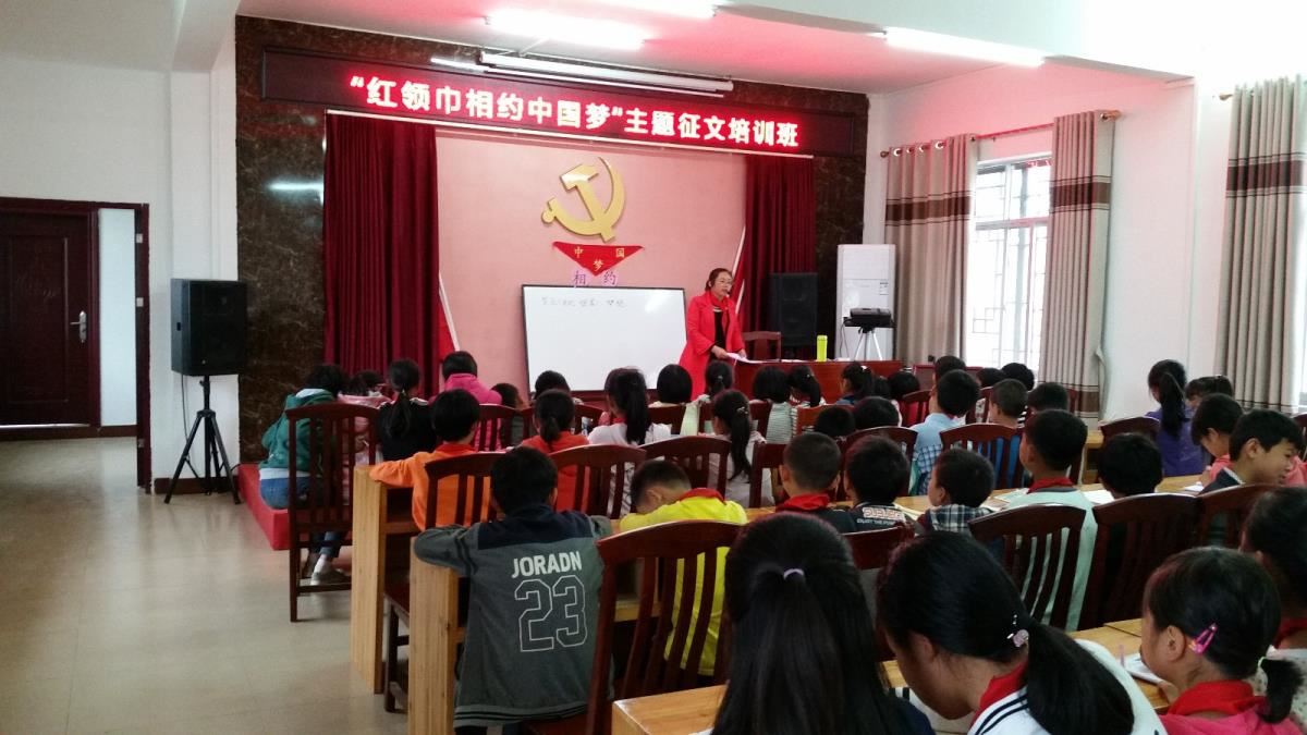 新寨村小学征文培训班