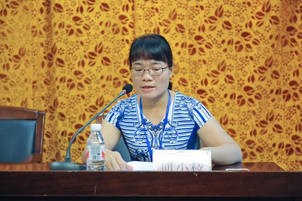 何小枝做经审报告