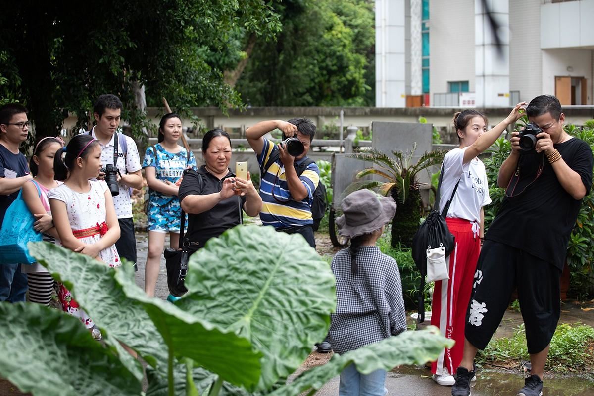 现场实拍指导