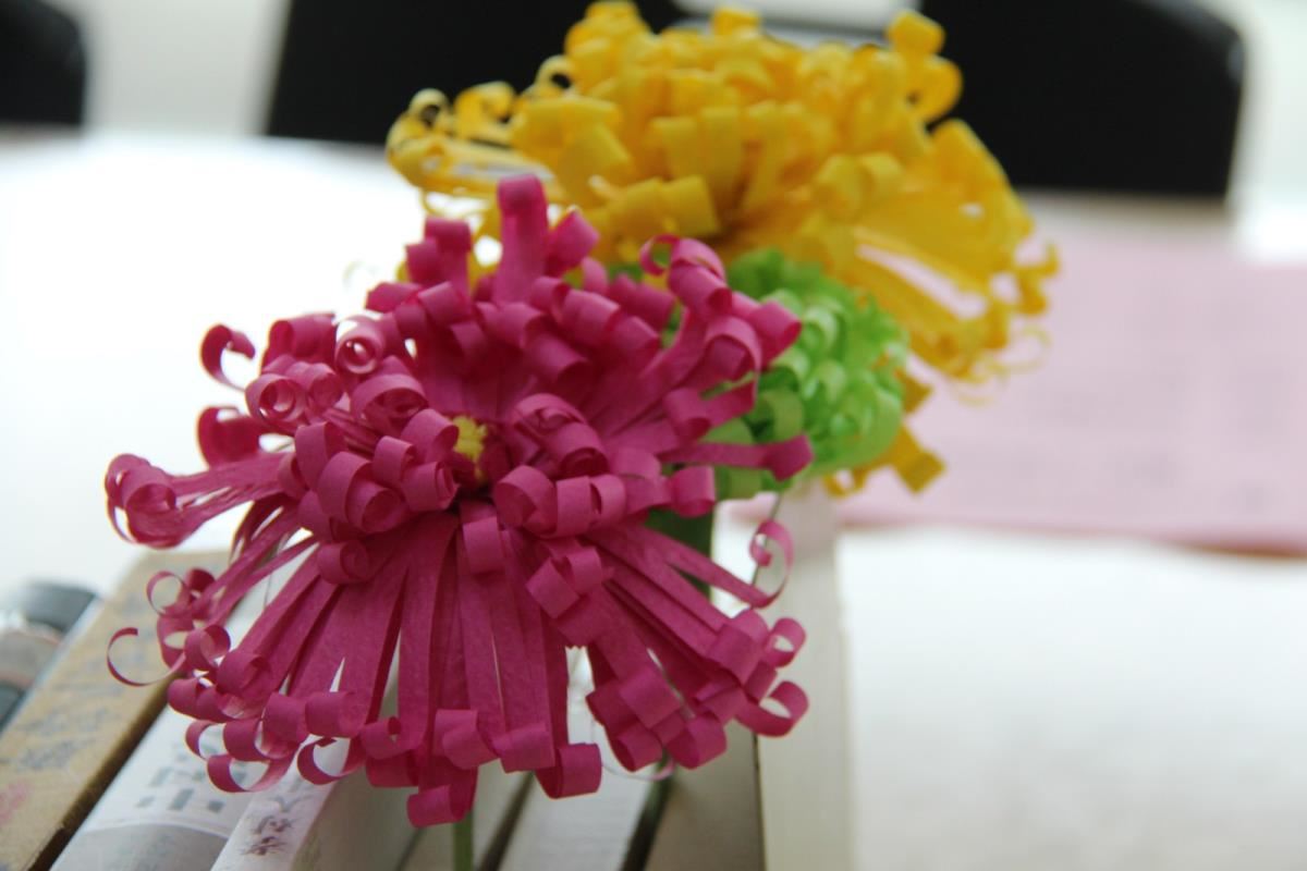 菊花作品