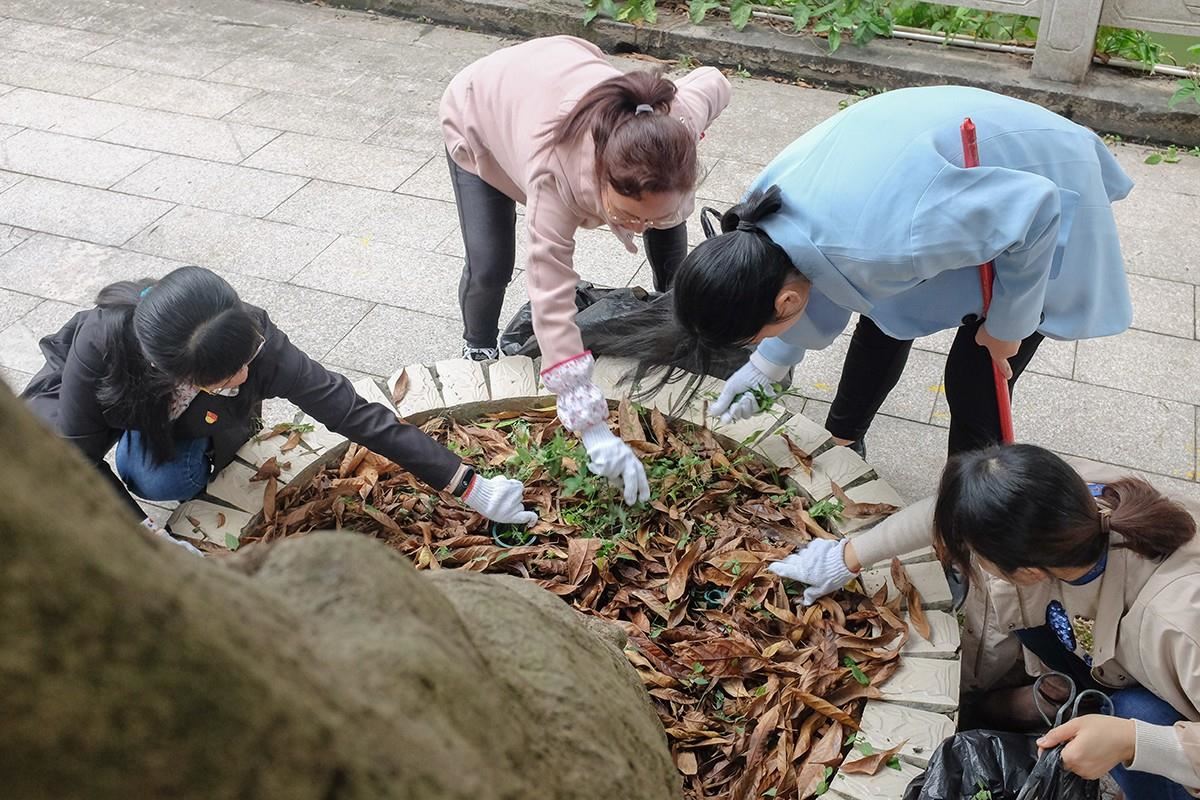 拔草