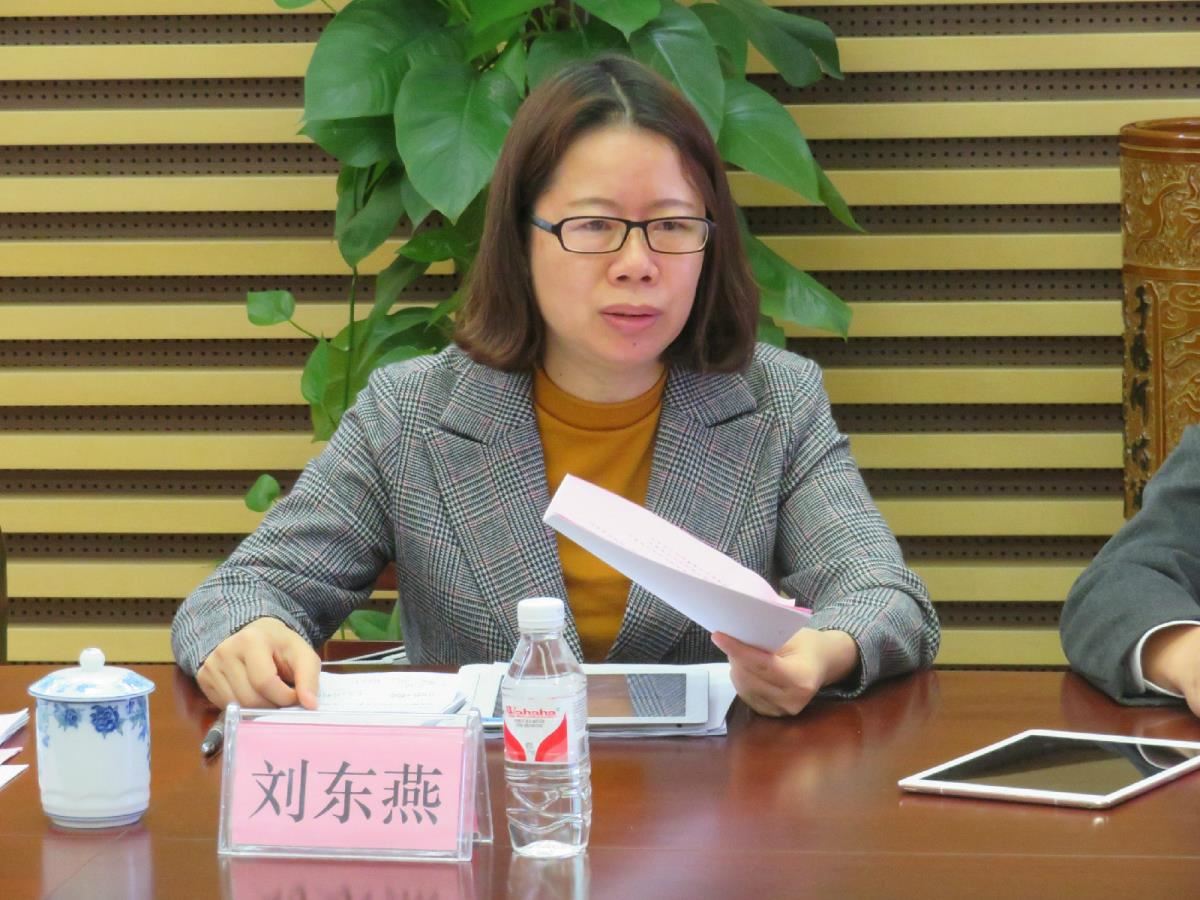 4.刘东燕副研究员提出对项目的意见