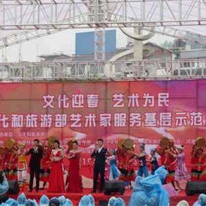 文化迎春 文化惠民——广西图书馆赴巴马、田阳县开展服务基层示范活动