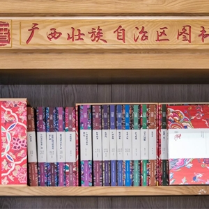 广西人读广西书，“我们的广西”系列丛书成“两会”新宠
