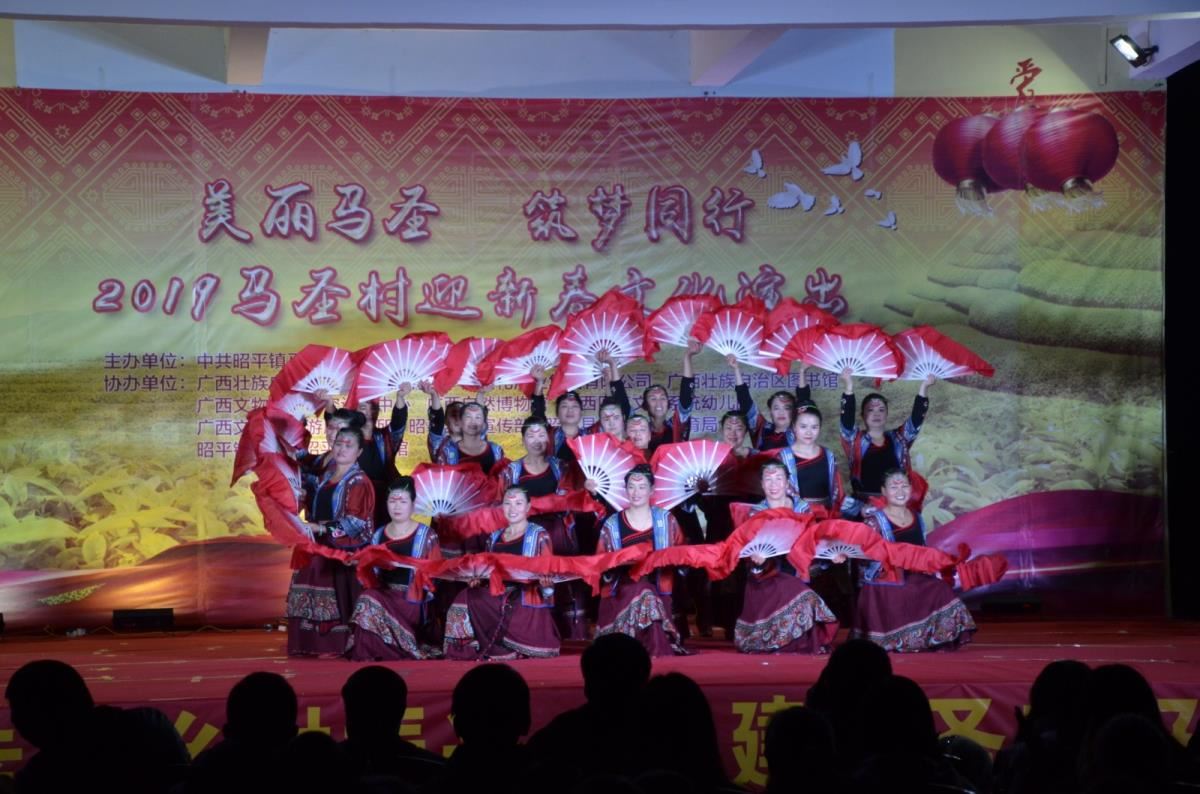 “美丽马圣 筑梦前行”马圣村迎新春文化惠民演出