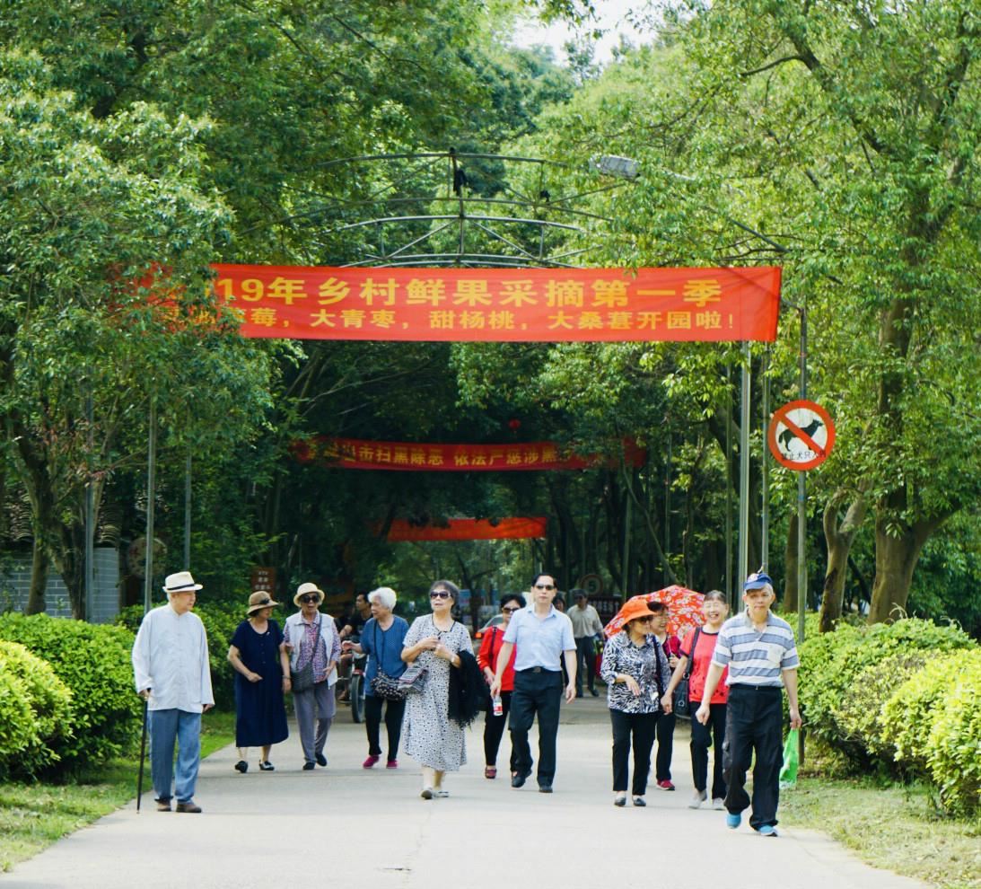 畅游乡村大世界