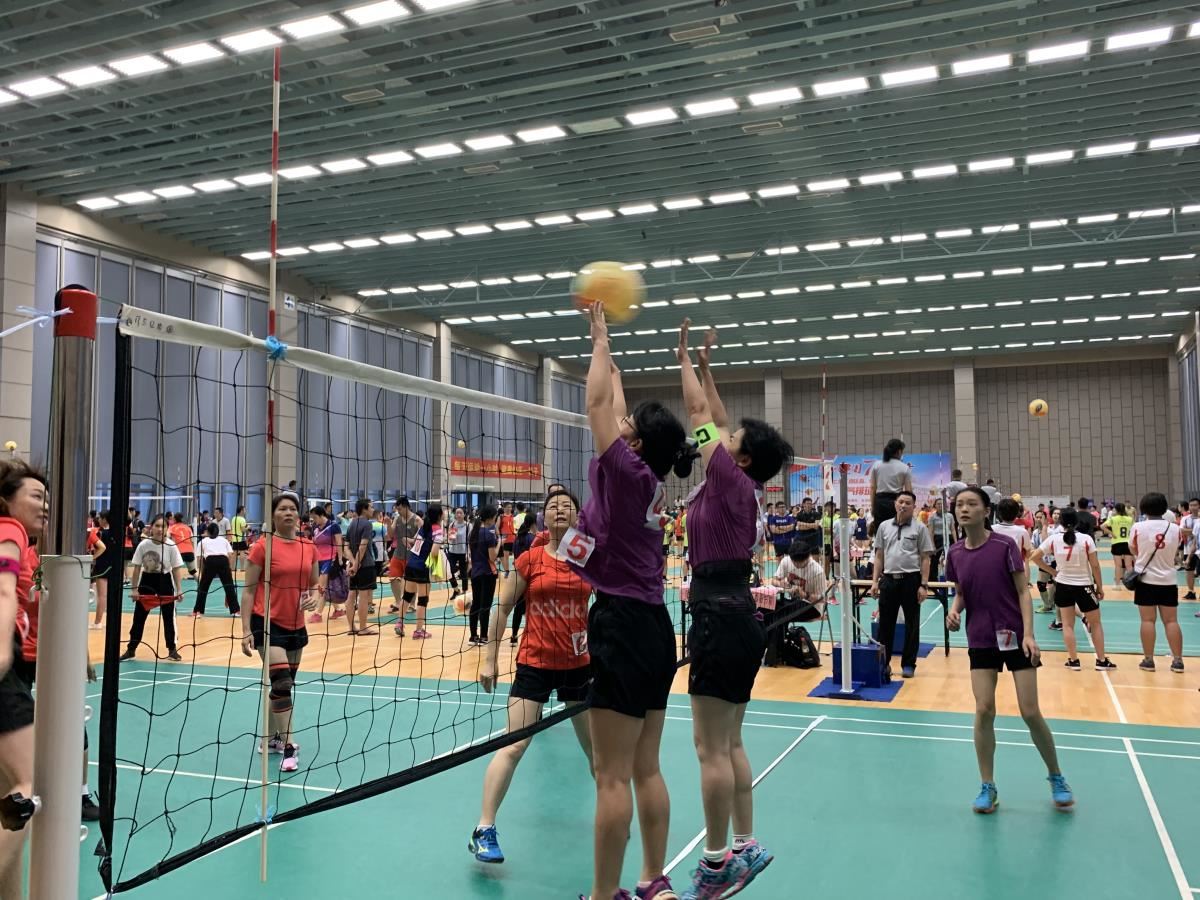合力拦网