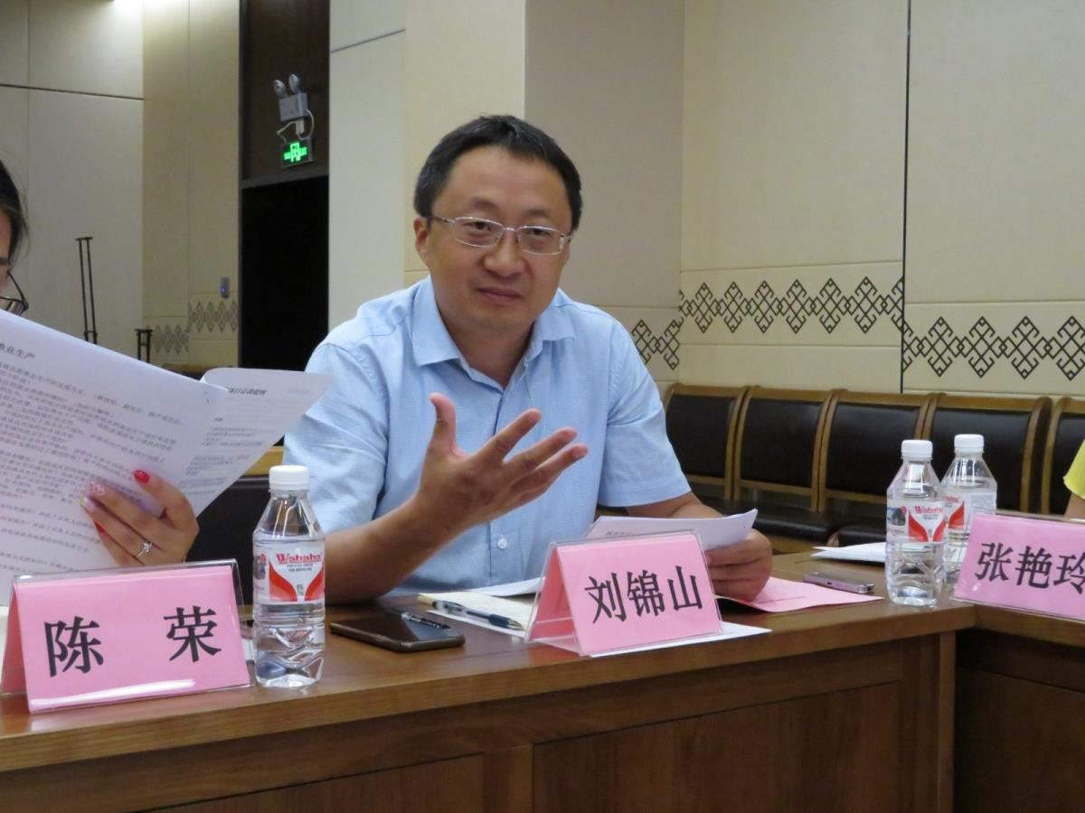 北京碧虚文化有限公司总经理刘锦山发言