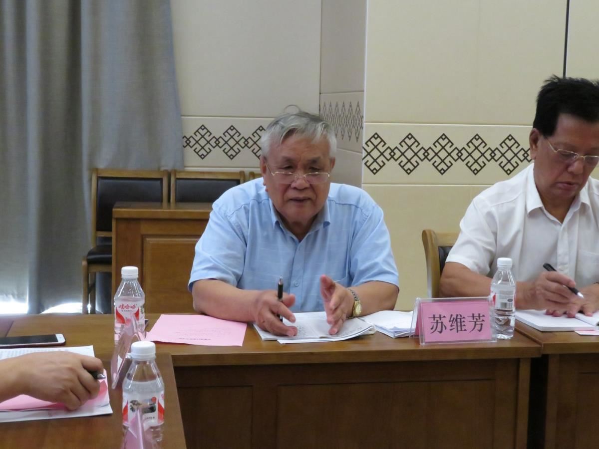 京族字喃文化传承研究中心主任苏维芳发言