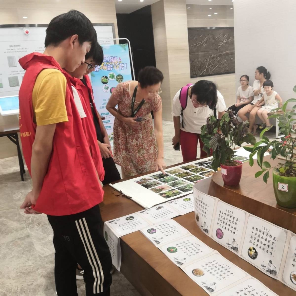 医药世家读者解说壮药植物特性