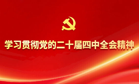 学习贯彻党的二十届四中全会精神